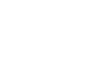 Birk Dental In Creve Coeur, MO - Logo